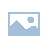 全球芯片危機(jī)